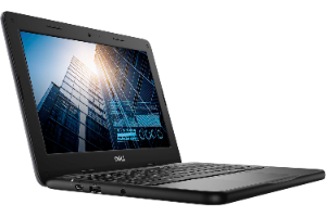 Dell 3100 Picture