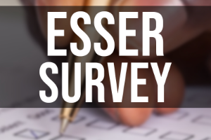 Esser Survey