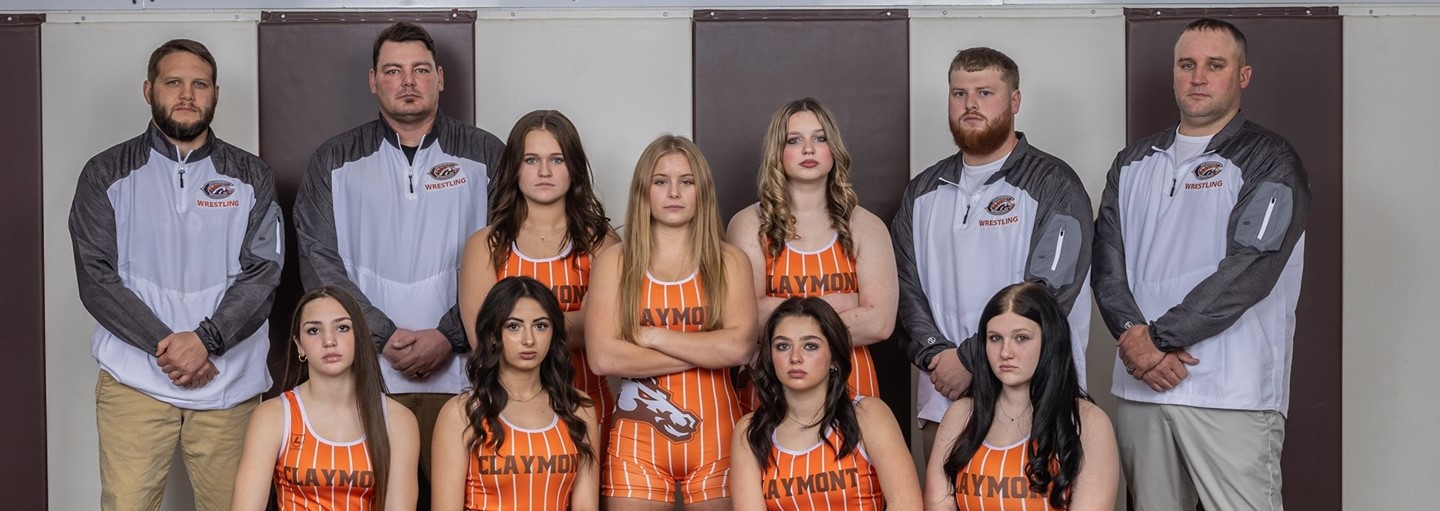 Girls&#39; Wrestling